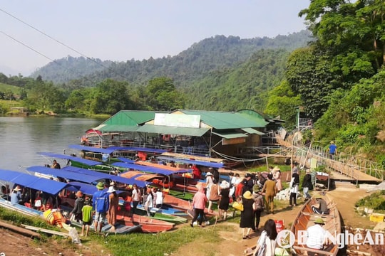 Lãnh đạo UBND tỉnh chỉ đạo xử lý dứt điểm vi phạm ở Phà Lài