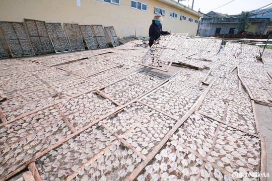 Đặc sản mực 'đắt hàng' đầu mùa du lịch, ngư dân Nghệ An bội thu