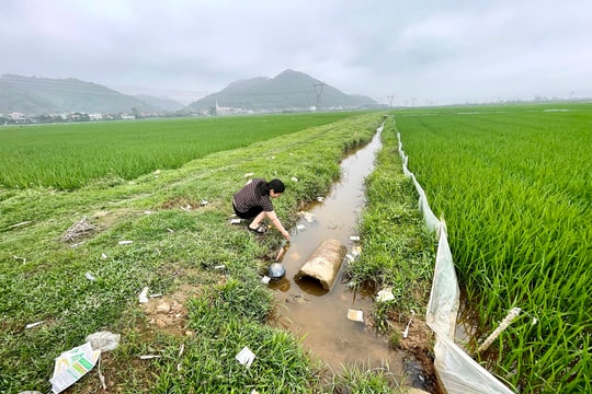 'Rác độc' bị vứt bừa bãi trên nhiều cánh đồng ở Nghệ An