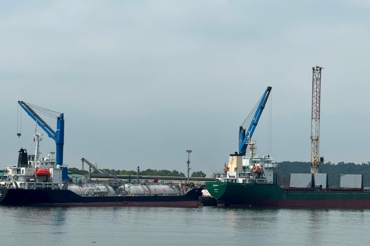 Nghệ An đề xuất nâng chính sách hỗ trợ vận tải bằng container qua Cảng Cửa Lò