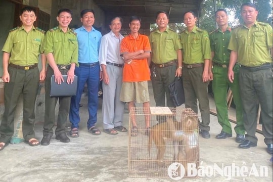 Khỉ tìm đến nhà, người dân Nghệ An tự nguyện bàn giao cho kiểm lâm