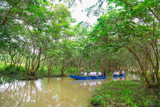 Thời tiết Nghệ An ngày 5/6: Nắng gián đoạn, đêm có mưa rào