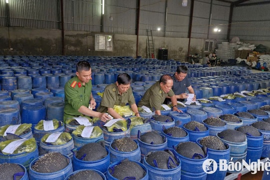 Công an Nghệ An phát hiện 4 cơ sở sử dụng chất kích thích để sản xuất giá đỗ