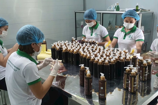 Nghệ An: Đổi mới, sáng tạo trong xây dựng thương hiệu sản phẩm