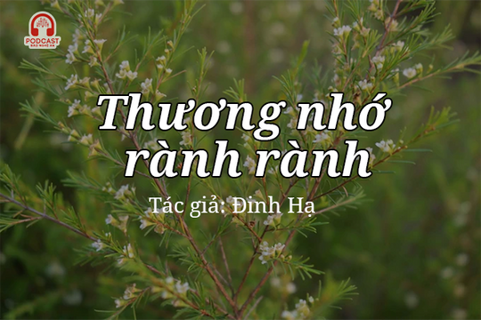 Tản văn hay: Thương nhớ rành rành