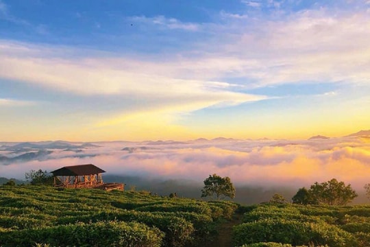 Golden Imperial Hotel - viết nên câu chuyện mùa hè đáng nhớ tại Đà Lạt