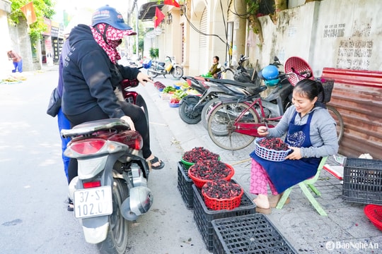 Nắng nóng đầu mùa ở Nghệ An, trái cây giải nhiệt ‘đắt hàng’
