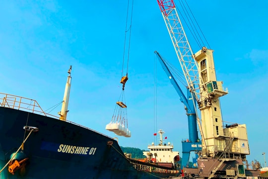 Cảng Nghệ Tĩnh: Nâng cao quản trị và văn hoá doanh nghiệp