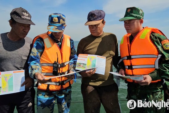 Triển khai đồng bộ và hiệu quả các biện pháp chống khai thác thuỷ sản IUU