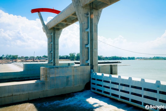 Ban Thường vụ Đảng ủy UBND tỉnh Nghệ An thống nhất chủ trương hợp nhất 7 công ty thủy lợi