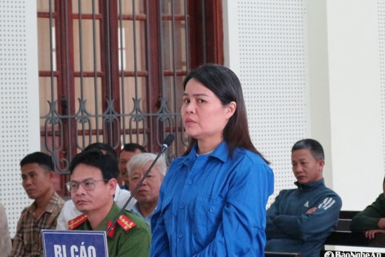 Nữ quái giả danh luật sư, lừa đảo gần 7 tỷ đồng