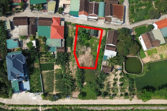 Nghệ An: Một bộ hồ sơ đất có nhiều dấu hiệu giả mạo