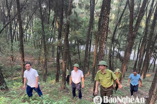 Nghệ An tăng cường kiểm tra công tác phòng cháy, chữa cháy rừng