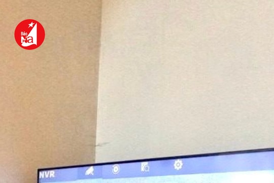 Nghệ An vận hành 12 camera phòng chống cháy rừng mùa nắng nóng