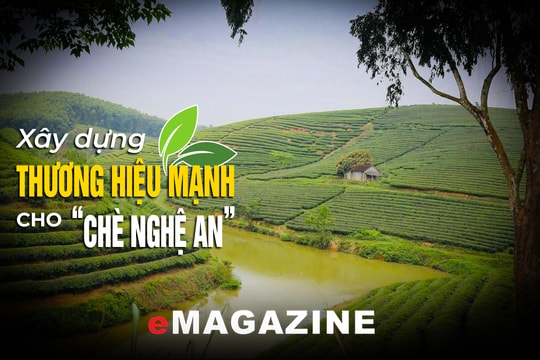 Bài 1: Lợi thế, tiềm năng và hiệu quả thực tiễn