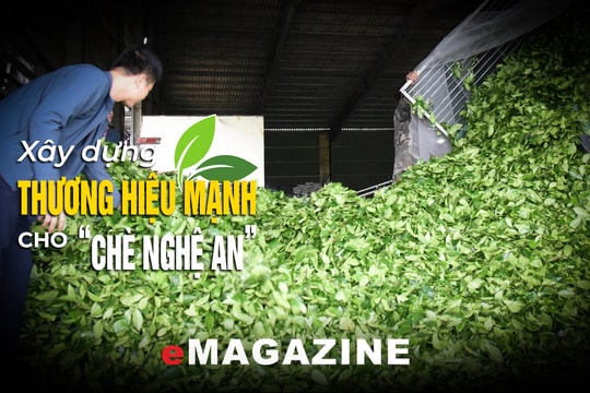 Bài 3: Định vị cây chè Nghệ An?