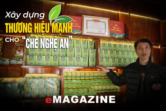 Bài cuối: Xây dựng vùng nguyên liệu sạch và thương hiệu sản phẩm