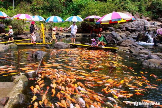 Khám phá những 'toạ độ sống ảo' ở miền Tây Nghệ An