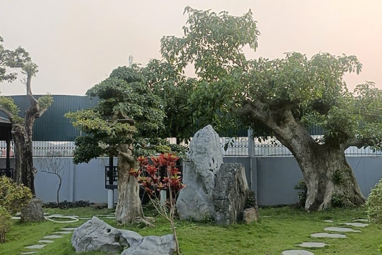 18 cô gái bị giam lỏng ở quán karaoke, có em mới 13 tuổi