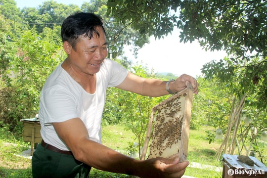 Khát vọng làm giàu ở làng của những cựu binh Nghệ An