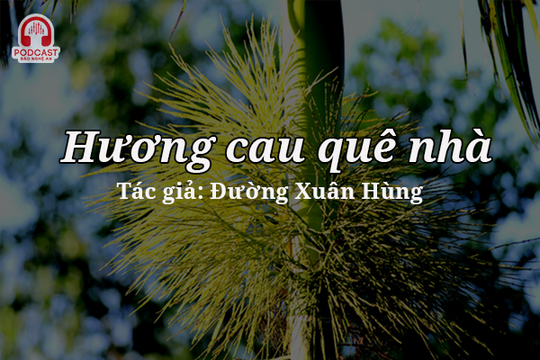 Tản văn hay: Hương cau quê nhà