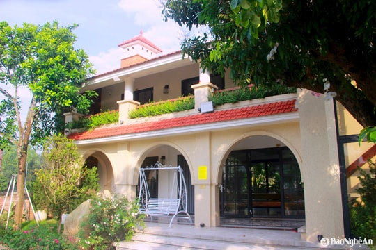 Maris Villa - Homestay theo phong cách châu Âu tại Cửa Lò