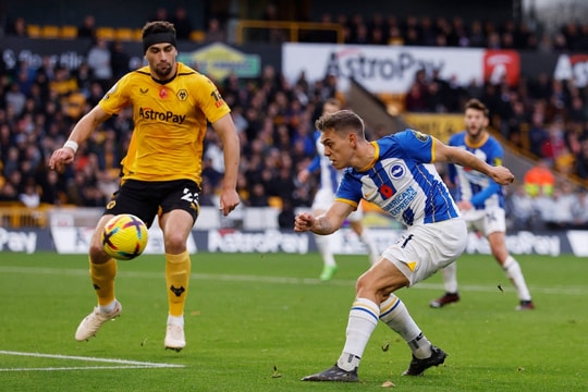 Nhận định, dự đoán Wolverhampton vs Brighton: Rượt đuổi tỷ số mãn nhãn