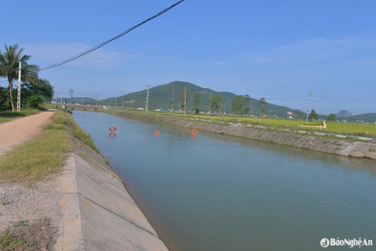 Công ty TNHH MTV Thủy lợi Bắc đảm bảo tưới cho hơn 51.369 ha lúa