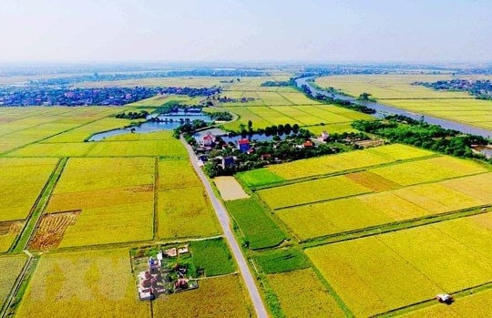 Quy định về hỗ trợ đào tạo, chuyển đổi nghề và tìm kiếm việc làm khi Nhà nước thu hồi đất