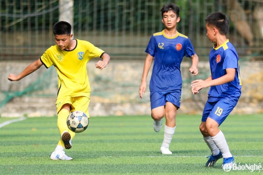 Sông Lam Nghệ An phản ứng về điều lệ giải U13, Liên đoàn Bóng đá Việt Nam nói gì?