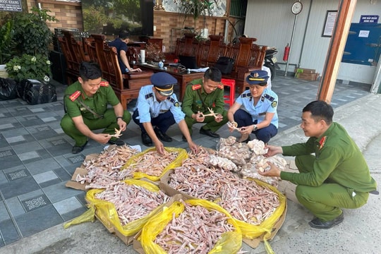 Phát hiện hơn 470kg thực phẩm đông lạnh không rõ nguồn gốc tại TP.Vinh