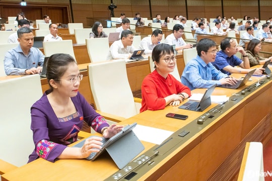 Trình Quốc hội giảm 2% thuế VAT đến hết 2026, tiếp tục miễn thuế đất nông nghiệp đến 2030