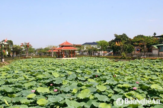 Thời tiết Nghệ An ngày 15/5: Chiều và đêm có mưa rào và dông vài nơi