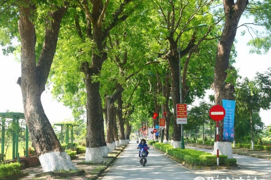 Những con đường xanh mát bóng cây ở Kim Liên