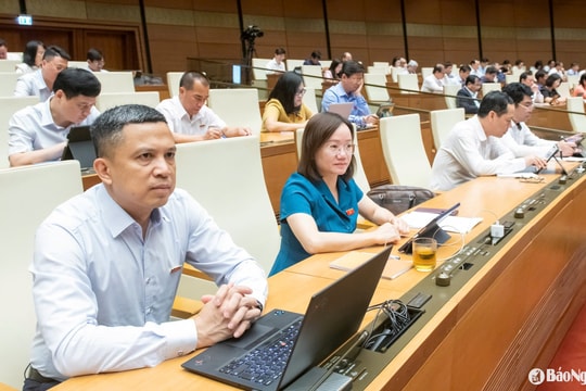 Trình Quốc hội Luật Tham gia lực lượng gìn giữ hòa bình của Liên hợp quốc