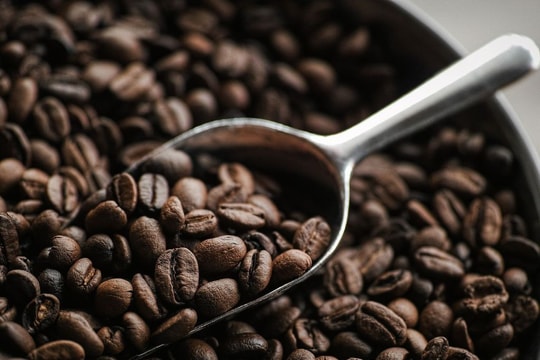 Cà phê xuất khẩu tăng giá ở tất cả các khu vực, ngoại trừ Nam Mỹ