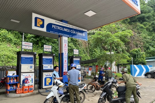 Dự báo giá xăng dầu chiều nay 15/5/2025