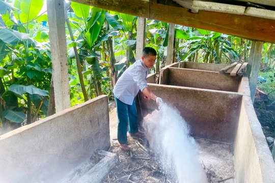 Nghệ An: Không chủ quan trước dịch tả lợn châu Phi tái phát nhiều nơi