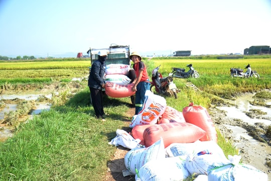 Thời tiết Nghệ An ngày 16/5: Ngày nắng gián đoạn, chiều và đêm mưa rào và dông rải rác