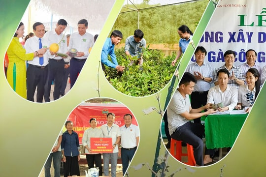 Nông dân Nghệ An làm theo lời Bác