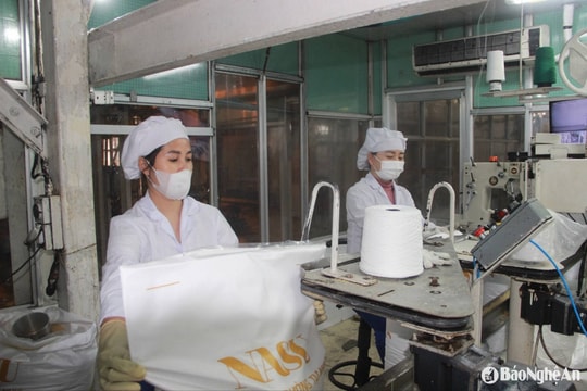 Ngành Thuế thông báo về việc tạm dừng các hệ thống công nghệ thông tin