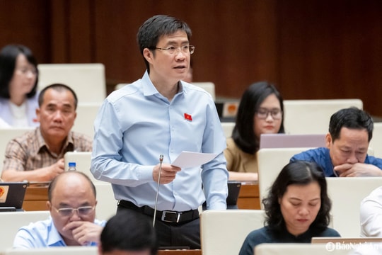 Đại biểu Quốc hội đoàn Nghệ An thảo luận về kiểm soát chất lượng hàng hóa trên sàn thương mại điện tử