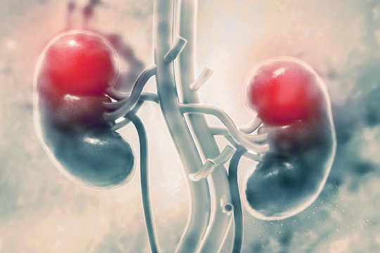 8 dấu hiệu thận yếu dễ nhận biết nhất