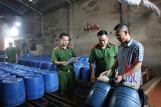 Khởi tố chủ cơ sở bán 60 tấn giá đỗ dùng chất kích thích tăng trưởng