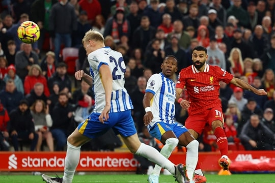 Nhận định, dự đoán Brighton vs Liverpool: Chủ nhà không nhân nhượng