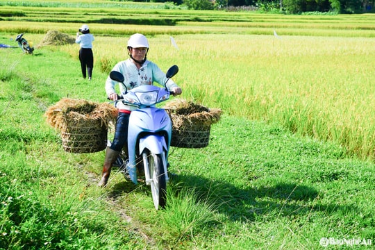 Thời tiết Nghệ An ngày 22/5: Ngày nắng nóng, chiều tối và đêm mưa rào vài nơi