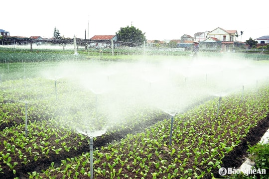 Nhà nông Nghệ An chủ động tiết kiệm điện mùa nắng nóng