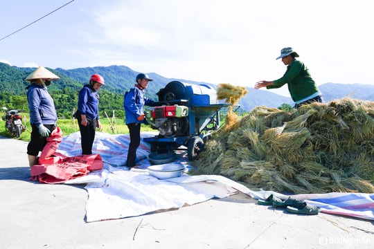 Mùa vàng ở vùng cao Quế Phong