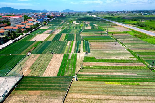 Thời tiết Nghệ An ngày 24/5: Có mưa rào và dông