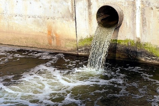 Không có Giấy phép môi trường, xả nước thải vượt quy chuẩn, Công ty cổ phần Hữu Nghị Nghệ An bị phạt 500 triệu đồng